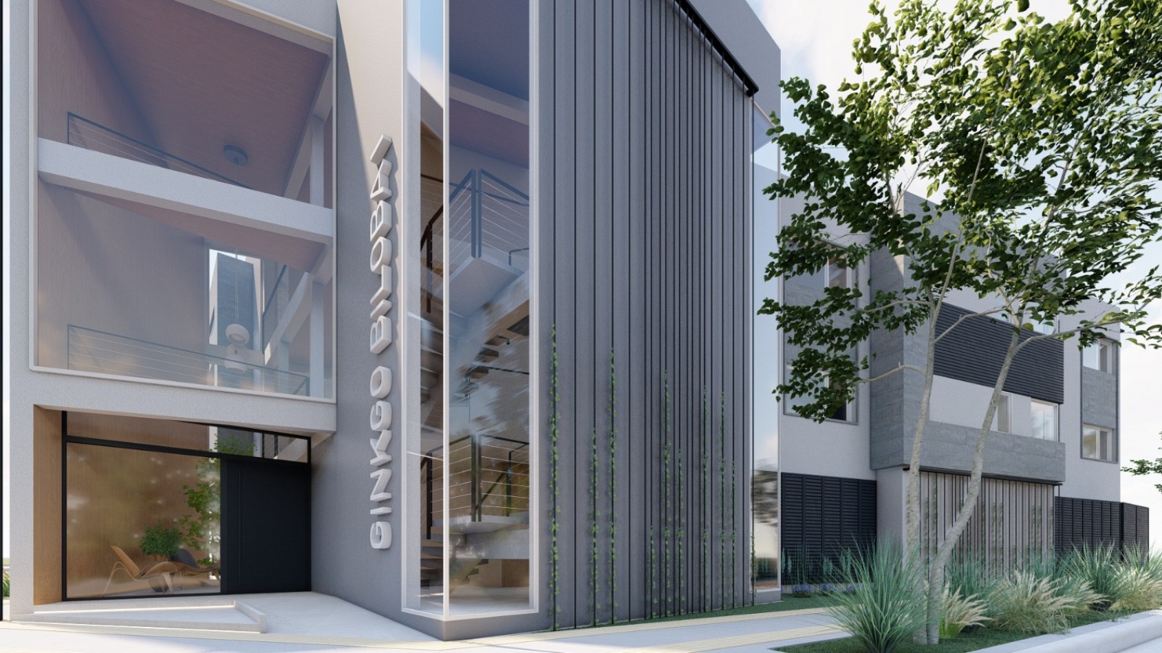 NUEVO DESARROLLO: GINKGO BILOBA