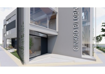 NUEVO DESARROLLO: GINKGO BILOBA